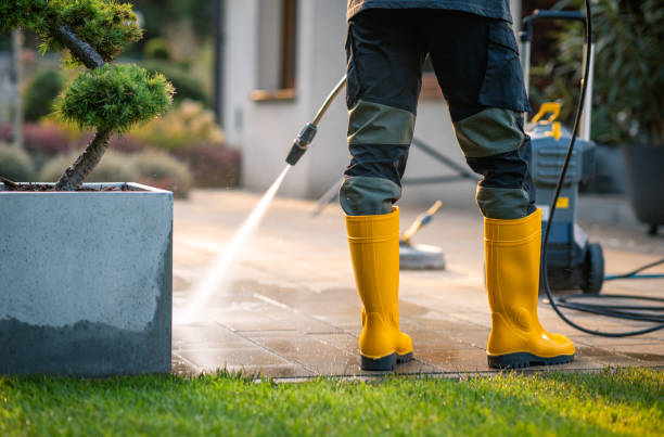 Best Deck Cleaning Services  in Palmyra, WI